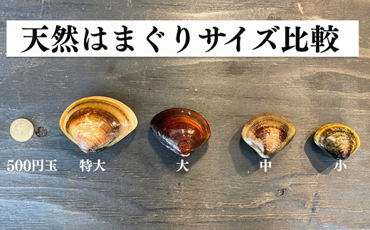 岬だより 希少 天然はまぐり 小サイズ 500g×2袋