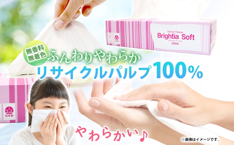 定期便 2ヵ月毎 全6回 ブライティア ソフト ボックス ティッシュ 200組 400枚 15箱 (5箱×3) BOX  ジョイマインドトイレットペーパー ロングロール シングル 72ロール (12ロール×6個パック) 長さ110m 日本製 北海道 倶知安町 日用品