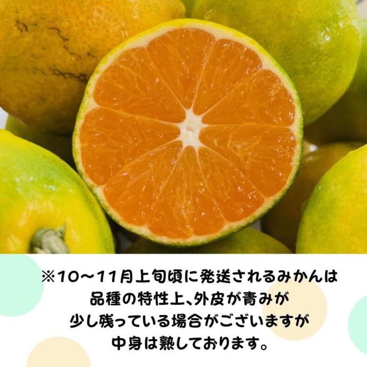【先行予約】【数量限定】濃厚有田みかん(ご家庭用) 1.2kg(1kg+200g(傷み補償分))