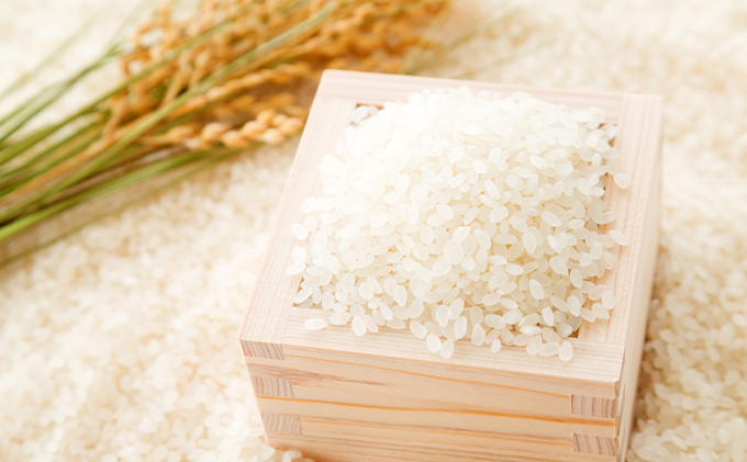 北海道月形産ななつぼし5kg+月形町産完熟トマト「桃太郎」使用『月形まんまるトマト』8本 5ヵ月連続 定期便 お米 果汁飲料 野菜飲料 トマトジュース