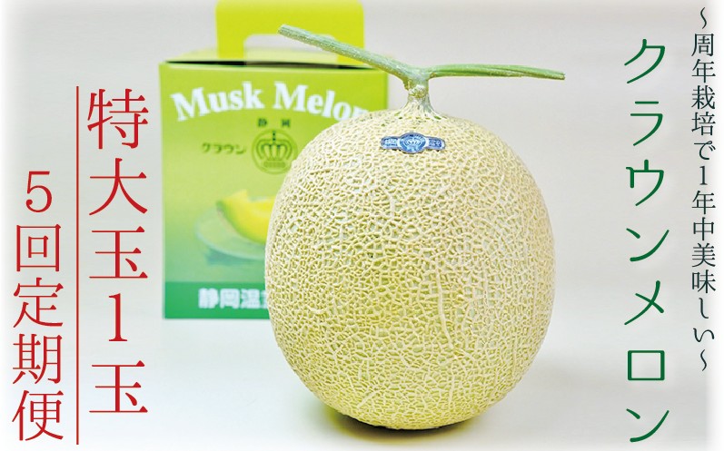 【5ヶ月定期便】クラウンメロン（白等級）特大玉　1玉入 　果物 フルーツ デザート メロン マスクメロン 青肉 高級 ギフト 贈り物 静岡県産 袋井市