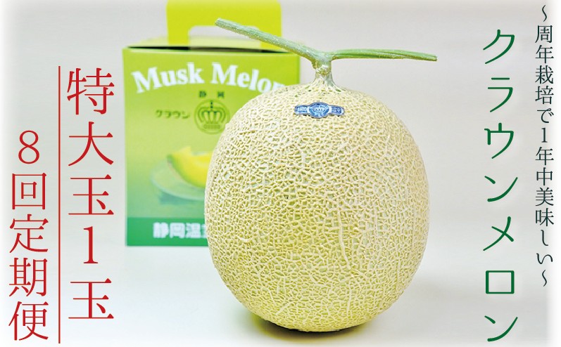 【8ヶ月定期便】クラウンメロン（白等級）特大玉　1玉入 　果物 フルーツ デザート メロン マスクメロン 青肉 高級 ギフト 贈り物 静岡県産 袋井市