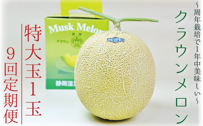 【9ヶ月定期便】クラウンメロン（白等級）特大玉　1玉入 　果物 フルーツ デザート メロン マスクメロン 青肉 高級 ギフト 贈り物 静岡県産 袋井市