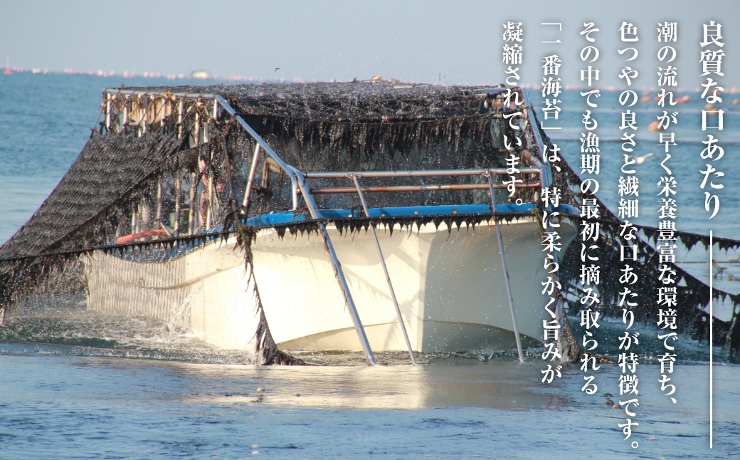 新海苔使用 焼きのり （板のり10枚）×6袋