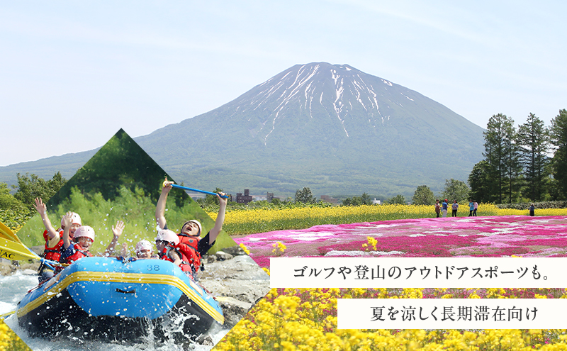 北海道 倶知安町 宿泊 利用 クーポン 【100万円分】チケット 旅行 ホテル パークハイアット ニセコ HANAZONO Panorama Niseko AYA Villas 他 リゾート コンドミニアム コテージ ヴィラ 券 宿泊券 観光 高級 宿 体験 長期滞在 旅 