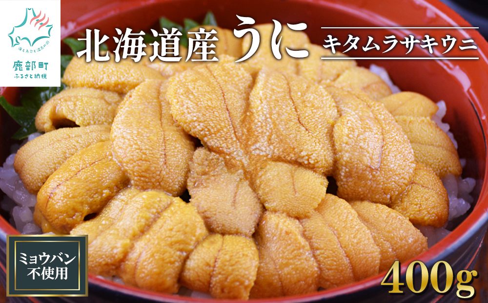 北海道産 うに キタムラサキウニ 400g (100g×4) ミョウバン不使用 ふり塩うに 冷凍保存