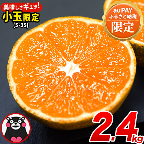 [auPAYふるさと納税限定]先行予約 みかん 訳あり 小玉 くまもと小玉みかん 2.4kg (2.4kg×1箱)ご家庭用 たっぷり 熊本県産 S-3Sサイズ フルーツ 旬 柑橘 長洲町 温州みかん 早生 中生 晩生[2025年10月中旬-12月末頃出荷]