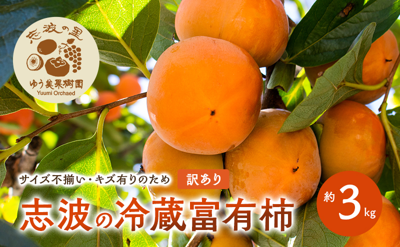 yqsz󂠂 ug̗①xL` 3kg ` ① zsF