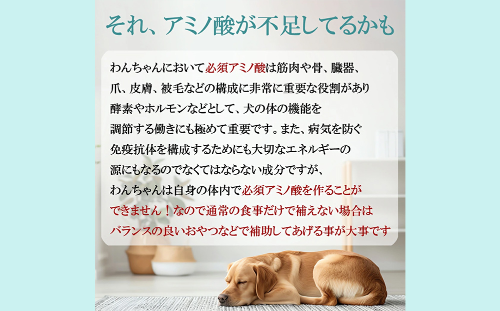 ドックフード 熟成肉ジャーキー 3袋入り