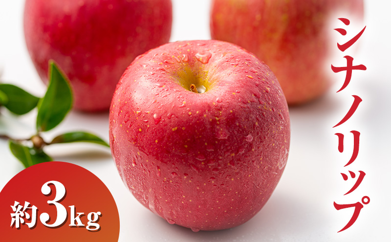 �y���쌧�R�m�����z2026�N�����V�i�m���b�v��3kg ��� ���쌧�Y