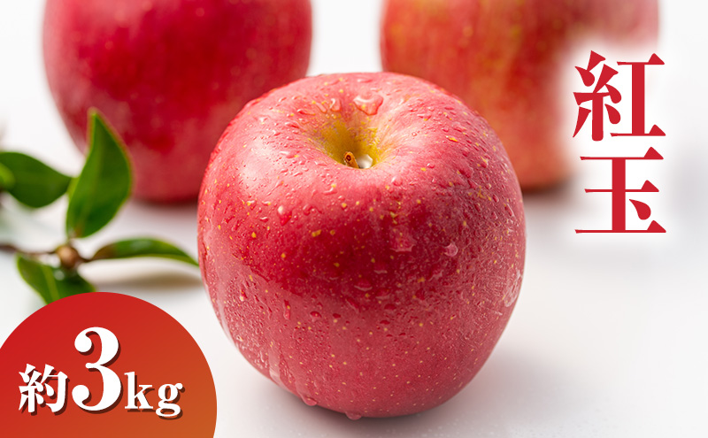 �y���쌧�R�m�����z2026�N���� �g�ʖ�3kg 7�`9�� ��� ���쌧�Y