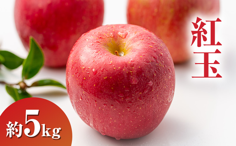 �y���쌧�R�m�����z2026�N���� �g�ʖ�5kg 13�`18�� ��� ���쌧�Y