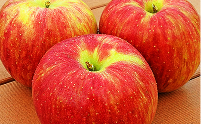 2026年発送 シナノスイート約3kg 7～9玉 りんご 長野県産