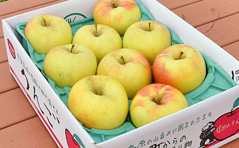 2026年発送 ぐんま名月約5kg 13～18玉 りんご 長野県産