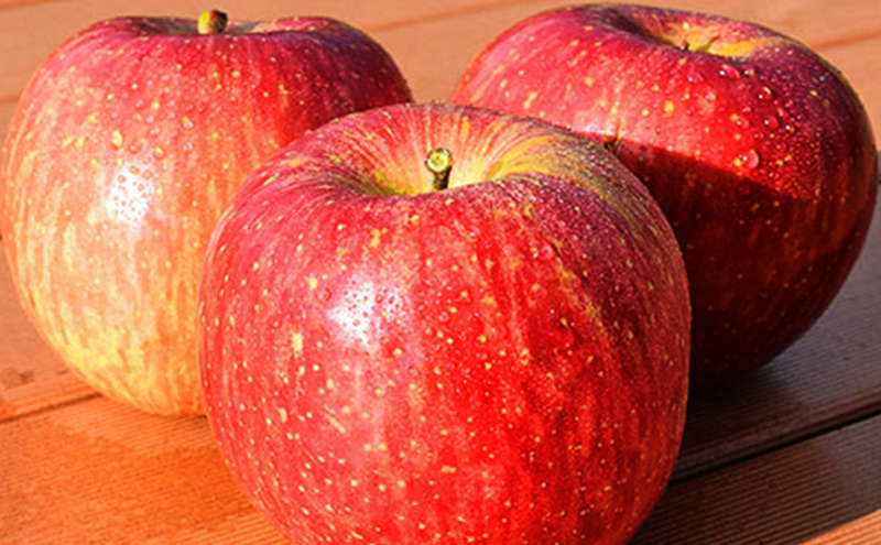 ふじ約3kg 7～9玉 りんご 長野県産