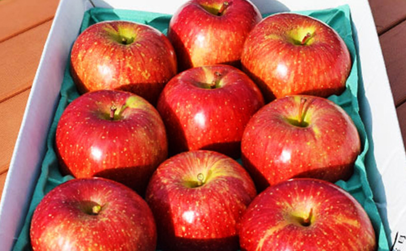 ふじ約5kg 13～18玉 りんご 長野県産