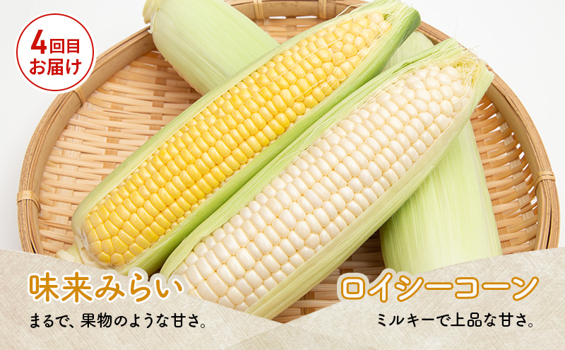 全4回 お届け 定期便 全4回 雪の下育ちのくっちゃんポテトスープ とうもろこし アスパラガス グリーン ホワイト 2種 ゆきだるま ジンギスカン 送料無料 北の百貨 しりべしや ニセコ 北海道 倶知安町 加工食品 惣菜