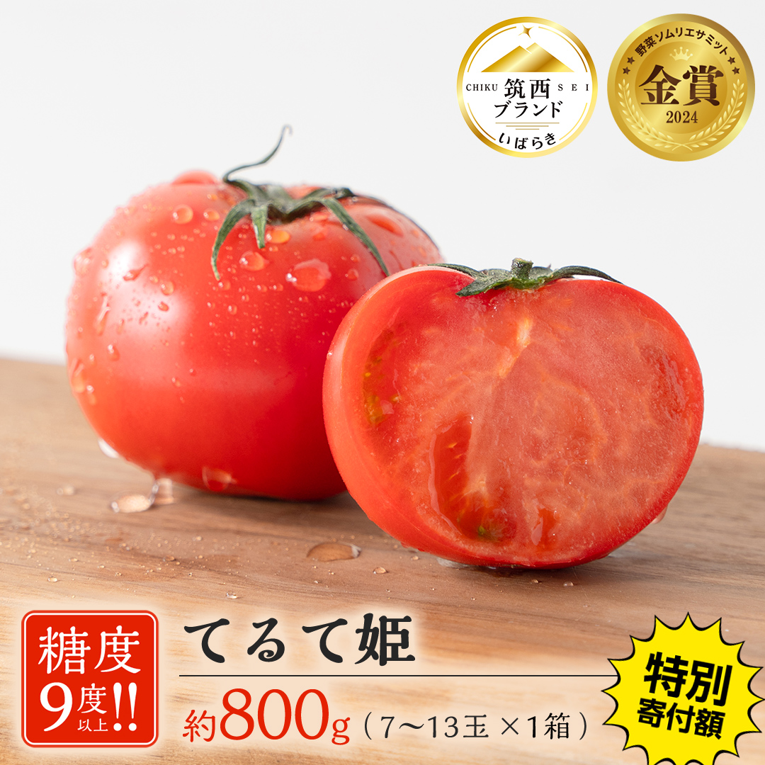  【 早期申込み限定 特別寄附額 】 てる