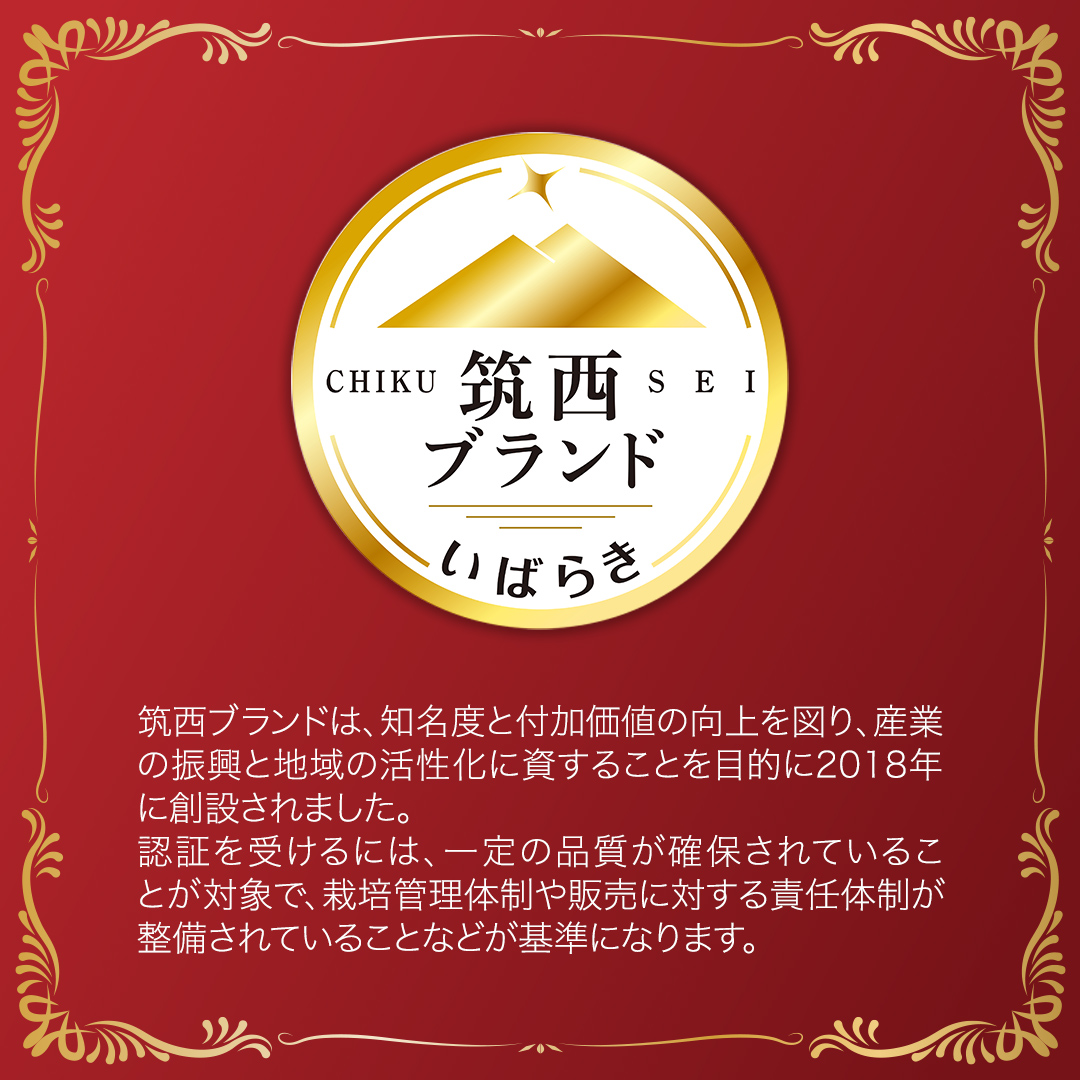 茨城県筑西市のふるさと納税  【 早期申込み限定 特別寄附額 】 てるて姫 小箱 約800g × 1箱 【7～13玉/1箱】 てるてひめ 糖度9度 以上 スーパーフルーツトマト 野菜 フルーツトマト フルーツ トマト とまと [AF070ci]