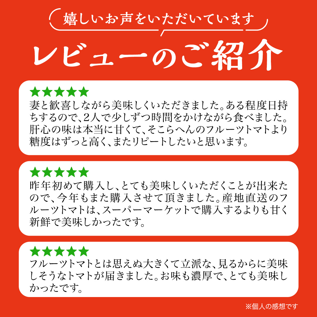 茨城県筑西市のふるさと納税  【 早期申込み限定 特別寄附額 】 てるて姫 小箱 約800g × 1箱 【7～13玉/1箱】 てるてひめ 糖度9度 以上 スーパーフルーツトマト 野菜 フルーツトマト フルーツ トマト とまと [AF070ci]