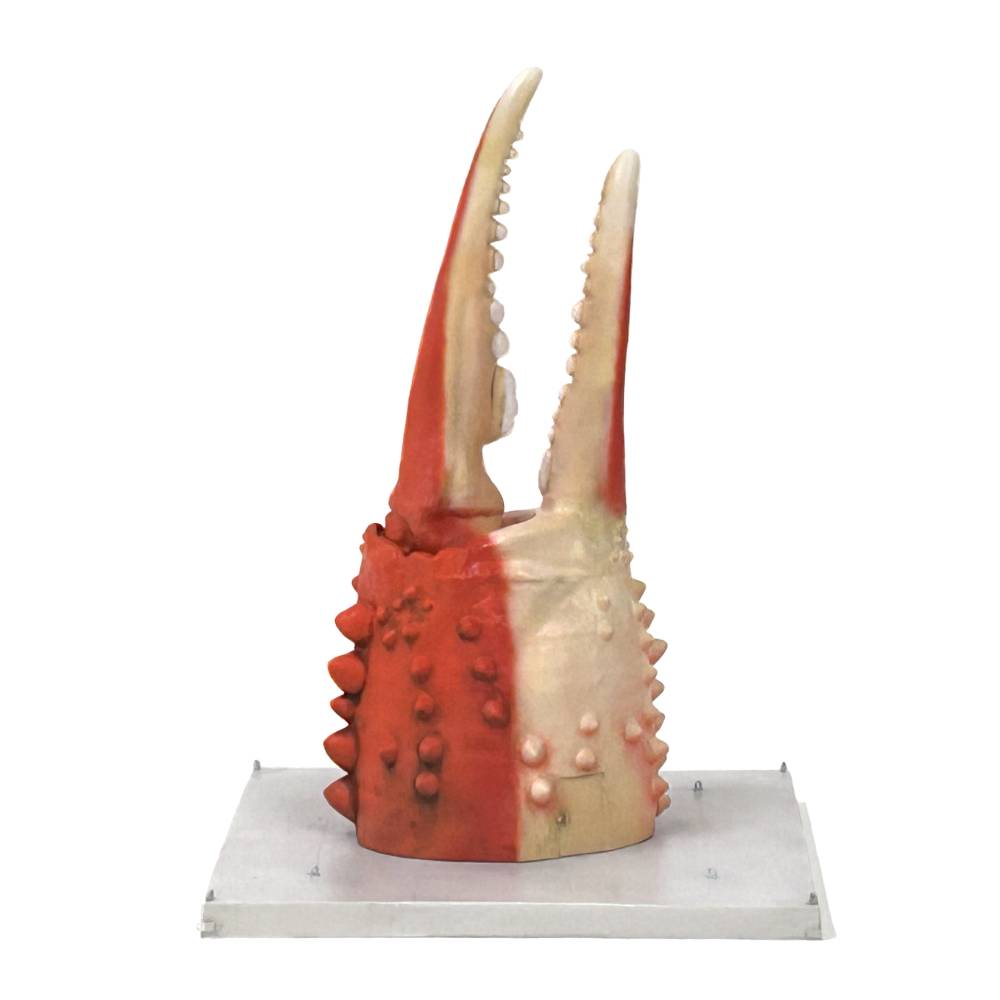 50-79 紋別 カニの爪オブジェ - オリジナル版, 小 -