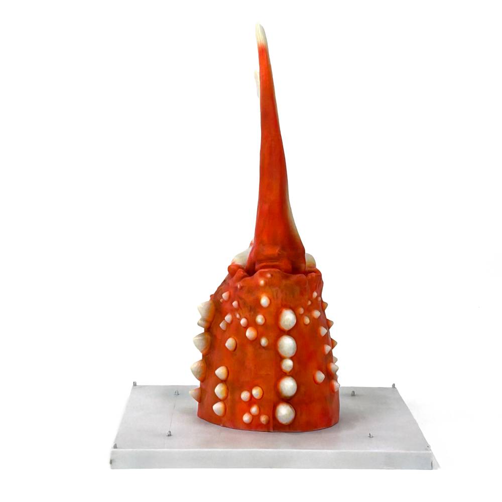 95-6 紋別 カニの爪オブジェ - 修復版, 大 -