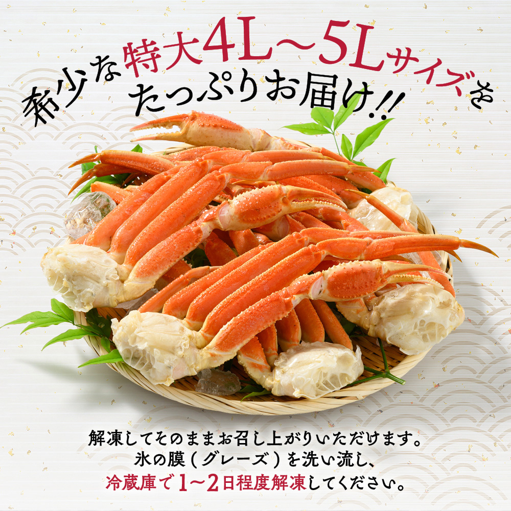 21-66 【年内発送12月15日入金まで】【特大4L～5L】ボイル本ずわいがに肩脚　4～5肩(約1.5kg) within2025