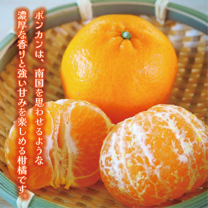 数量限定 先行受付 ポンカン 3kg 7000円 ぽんかん 国産 みかん mikan 蜜柑 ミカン 産地直送 農家直送 特産品 ギフト プレゼント ゼリー ジュース アイス 冷凍 みかん 等に 人気 限定 甘い フルーツ 果物 柑橘 美味しい おいしい 小玉 含む ジューシー サイズ ミックス 岡平農園 愛南町 愛媛県