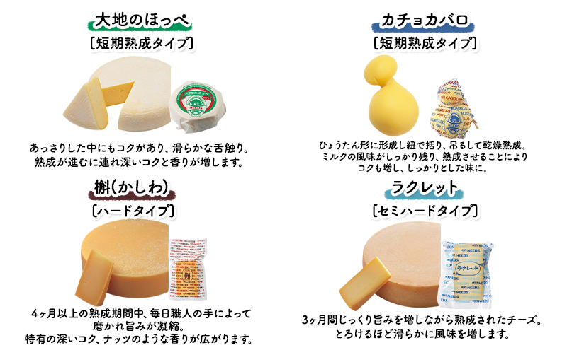 【2026年1月発送開始】北海道 十勝 チーズアソート11種 / プレミアム食べ比べセット 3回定期便(2ヶ月ごと)[チーズ工房NEEDS]【 隔月 槲 ラクレット モッツァレラ 大地のほっぺ さけるチーズ ミルクジャム 】
