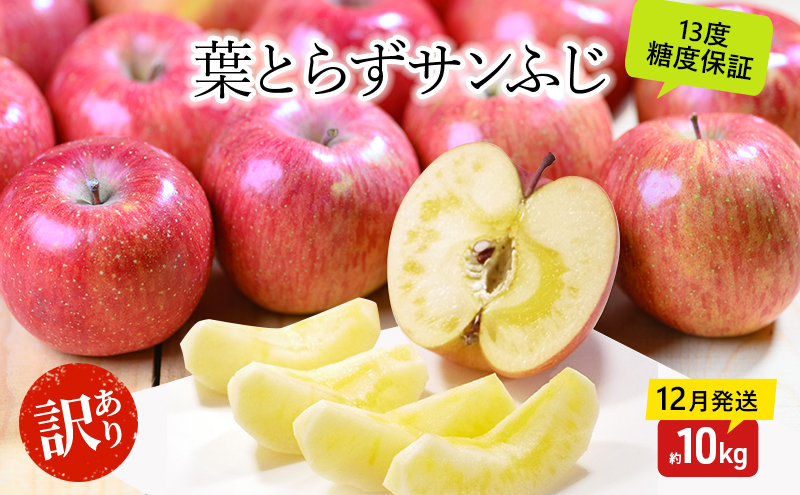 りんご【12月・1月発送】蜜入り 糖度13度以上 訳あり 家庭用 葉とらず サンふじ 約10kg【青森りんご 果物 フルーツ デザート 食後 おやつ 産地直送】