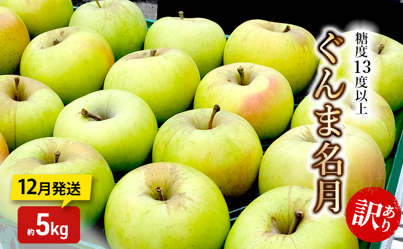 yXߓcz񂲁y12zx13xȏ 󂠂 ƒp ܖ 5kgyX񂲁z