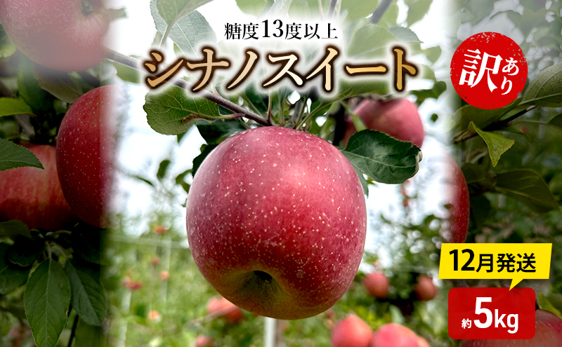 yXߓcz񂲁y12zx13xȏ 󂠂 ƒp VimXC[g 5kgyX񂲁z