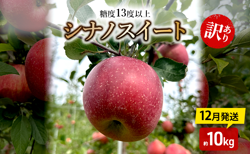 yXߓcz񂲁y12zx13xȏ 󂠂 ƒp VimXC[g 10kgyX񂲁z