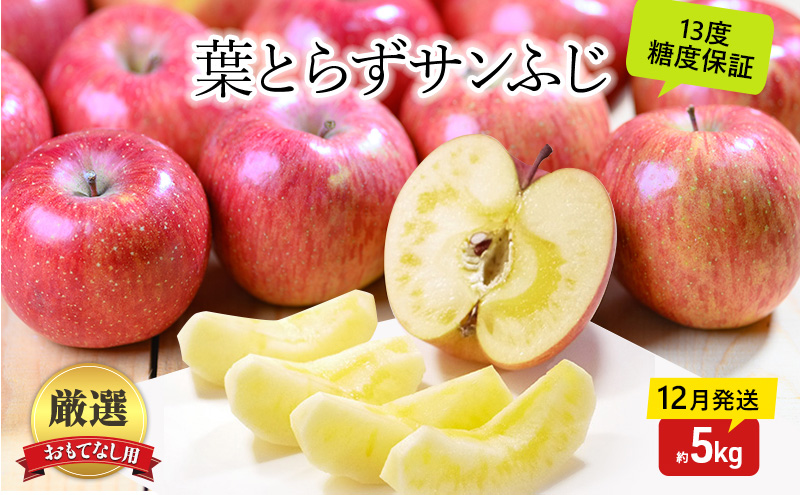 yXߓcz񂲁y12E1z x13xȏ ĂȂi  tƂ炸 Tӂ 5kgyX񂲁zʕ t[c Yn 蕨 N Nn A