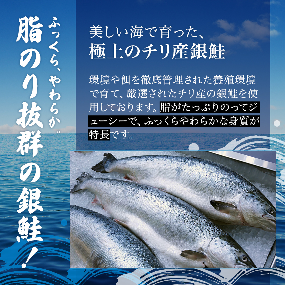 【3か月連続定期便】訳あり 銀鮭 切り身 1kg セット 詰め合わせ 銀シャケ 切身 鮭 サケ シャケ 鮭の切り身 規格外 不揃い 魚 魚介 魚介類 海鮮 海鮮セット 魚の切り身 鮭切身 冷凍 ご飯のお供 ごはんのお供 家庭用 訳アリ 宮城 宮城県 岩沼市