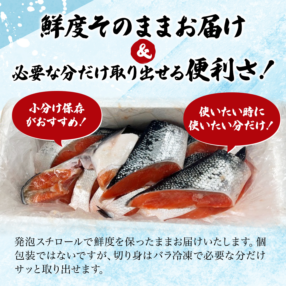 【3か月連続定期便】訳あり 銀鮭 切り身 1kg セット 詰め合わせ 銀シャケ 切身 鮭 サケ シャケ 鮭の切り身 規格外 不揃い 魚 魚介 魚介類 海鮮 海鮮セット 魚の切り身 鮭切身 冷凍 ご飯のお供 ごはんのお供 家庭用 訳アリ 宮城 宮城県 岩沼市