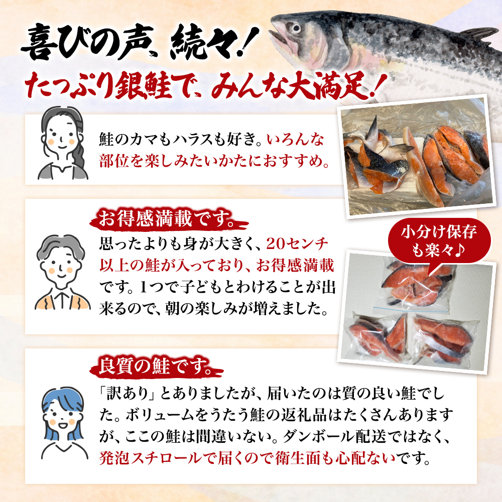 【3か月連続定期便】訳あり 銀鮭 切り身 1.4kg セット 詰め合わせ 銀シャケ 切身 鮭 サケ シャケ 鮭の切り身 規格外 不揃い 魚 魚介 魚介類 海鮮 海鮮セット 魚の切り身 鮭切身 冷凍 ご飯のお供 ごはんのお供 家庭用 訳アリ 宮城 宮城県 岩沼市