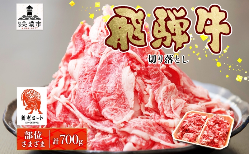 飛騨牛 切り落とし 350g×2P 国産 国産牛 牛肉 肉 牛 日本産 和牛 BBQ 焼き肉 赤身 小分け 便利 冷凍保存 一人暮らし 牛丼 肉じゃが 煮物 焼く 簡単調理 薄切り 飛騨牛切り落とし カレー ビーフシチュー 贈答品 お取り寄せ 送料無料 岐阜県 美濃市