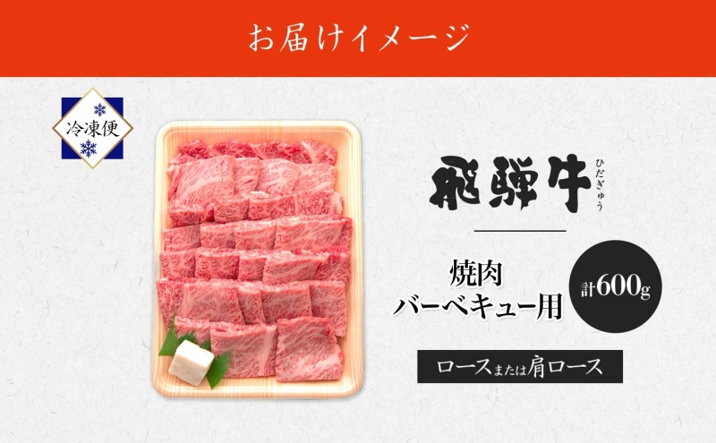 飛騨牛 ロースor肩ロース 焼き肉・BBQ用 計600g ロース肉 ロース 肩ロース肉 肩ロース 肉 お肉 牛 牛肉 和牛 国産牛 国産 日本産 BBQ 焼肉 焼き肉 冷凍保存 小分け イベント 一人暮らし お取り寄せグルメ ご当地 岐阜県 美濃市