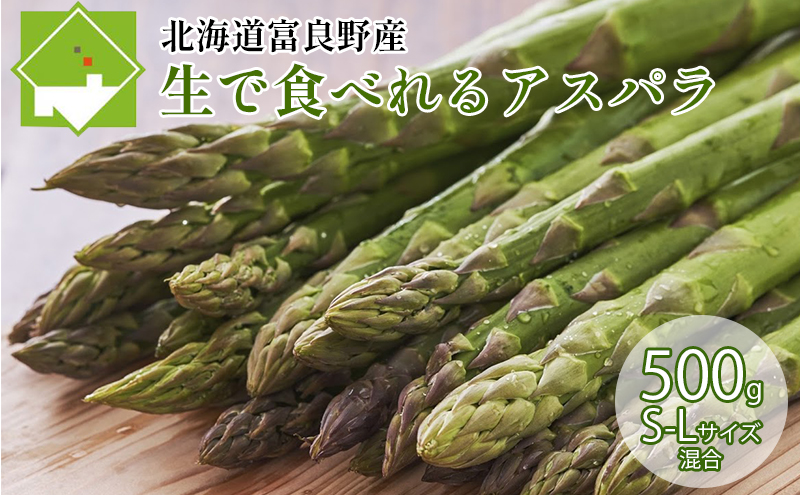 【北海道富良野市】【2026年5月下旬〜発送】北海道ふらの産☆生で食べれるアスパラ【500g】S-Lサイズ混合 (スイートベジタブルファクトリー) 野菜 新鮮 直送 朝採り アスパラガス 道産 北海道 ふらの