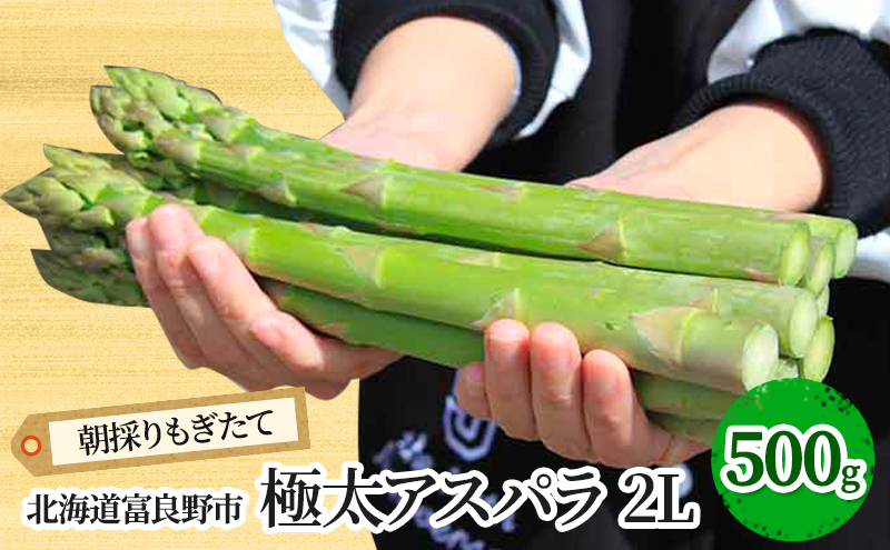 ykCxǖszy2026Ntzɑ O[AXp 2LTCY 500g kC xǖsY (XC[gxW^ut@Ng[)  VN  ̂ AXpKX Y kC ӂ