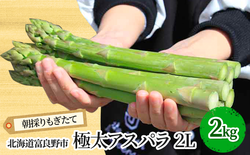 ykCxǖszy2026Ntzɑ O[AXp 2LTCY 2kg kC xǖsY (XC[gxW^ut@Ng[)  VN  ̂ AXpKX Y kC ӂ