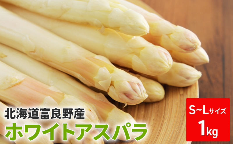 ykCxǖszy2026N5{`z zCg AXp S-LTCY 1kg ZbgkC xǖs (XC[gxW^ut@Ng[)  VN  ̂ AXpKX Y kC ӂ