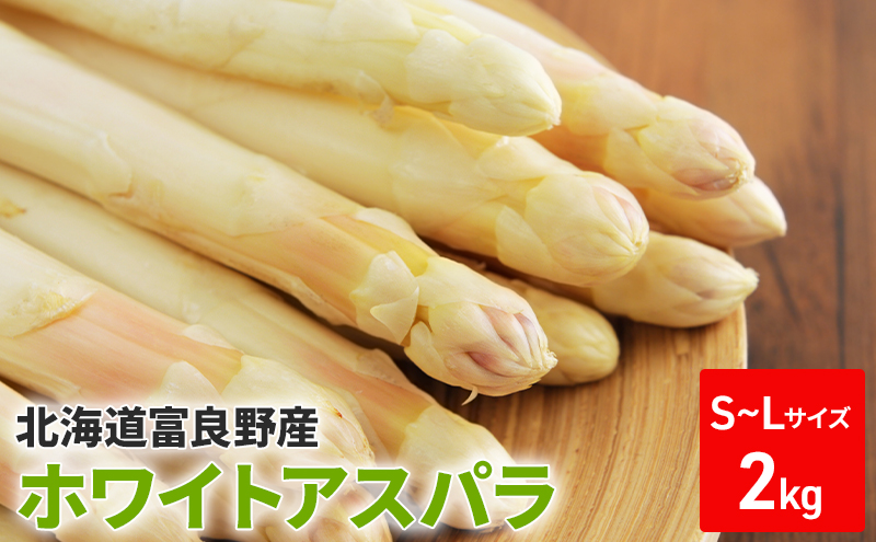 ykCxǖszy2026N5{`z zCg AXp S-LTCY 2kg ZbgkC xǖs (XC[gxW^ut@Ng[)  VN  ̂ AXpKX Y kC ӂ