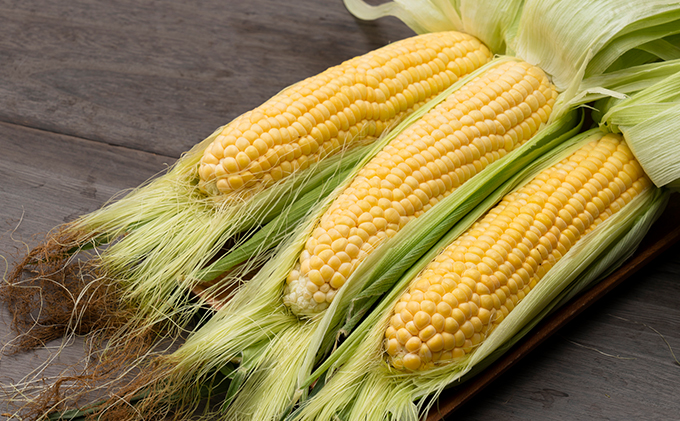 【2026年夏発送】富良野産 生で食べられる とうもろこし【恵味（めぐみ）】 20本 野菜 コーン