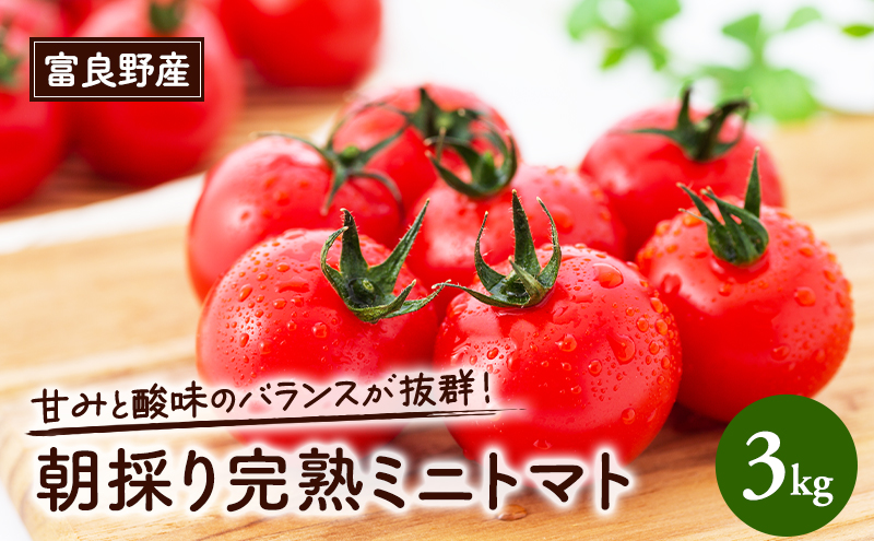 【2026年6月下旬～発送】完熟　富良野トマト　(ミニトマト)【約3kg】 (スイートベジタブルファクトリー) 野菜 新鮮 直送 朝採り トマト ミニトマト 道産 北海道 ふらの