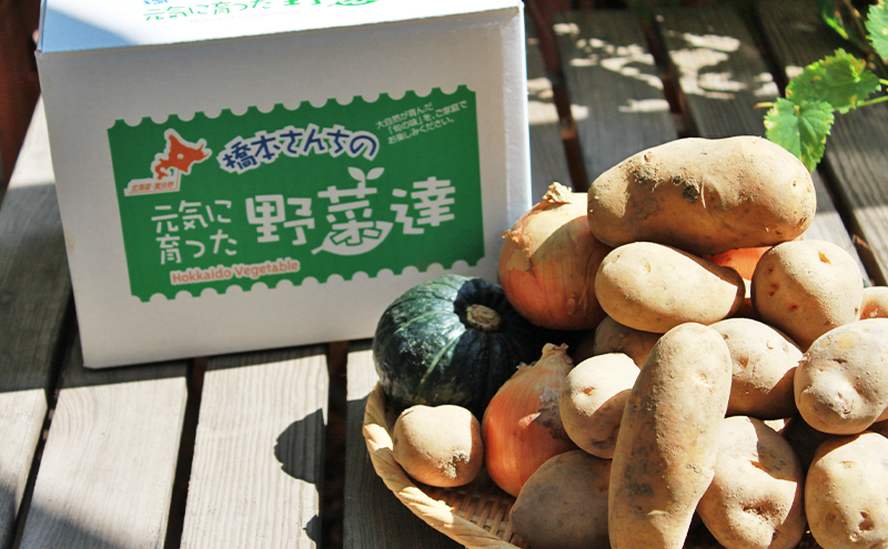 【2025年10月下旬～発送】北海道富良野　野菜セット【10kg詰め】 野菜 新鮮 ふらの にんじん 人参 かぼちゃ じゃがいも 芋 玉ねぎ たまねぎ ごぼう ゆり根 赤たまねぎ お米　)