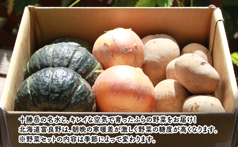 【2025年10月下旬～発送】北海道富良野　野菜セット【10kg詰め】 野菜 新鮮 ふらの にんじん 人参 かぼちゃ じゃがいも 芋 玉ねぎ たまねぎ ごぼう ゆり根 赤たまねぎ お米　)