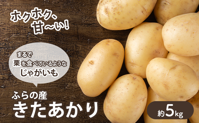 【2025年10月～発送】甘くてホクホク！じゃがいも きたあかり 【約5kg】 (スイートベジタブルファクトリー) 野菜 新鮮 直送 朝採り じゃがいも 芋 インカのめざめ いんか 道産 北海道 ふらの
