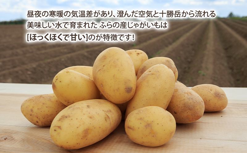 【2025年10月～発送】甘くてホクホク！じゃがいも きたあかり 【約5kg】 (スイートベジタブルファクトリー) 野菜 新鮮 直送 朝採り じゃがいも 芋 インカのめざめ いんか 道産 北海道 ふらの